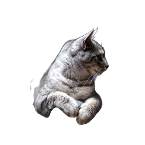 Close Up Of A Tabby Cat Lounging On A Blue Armchair With A Gray Background. 14150 - Cat PNG image with transparent background